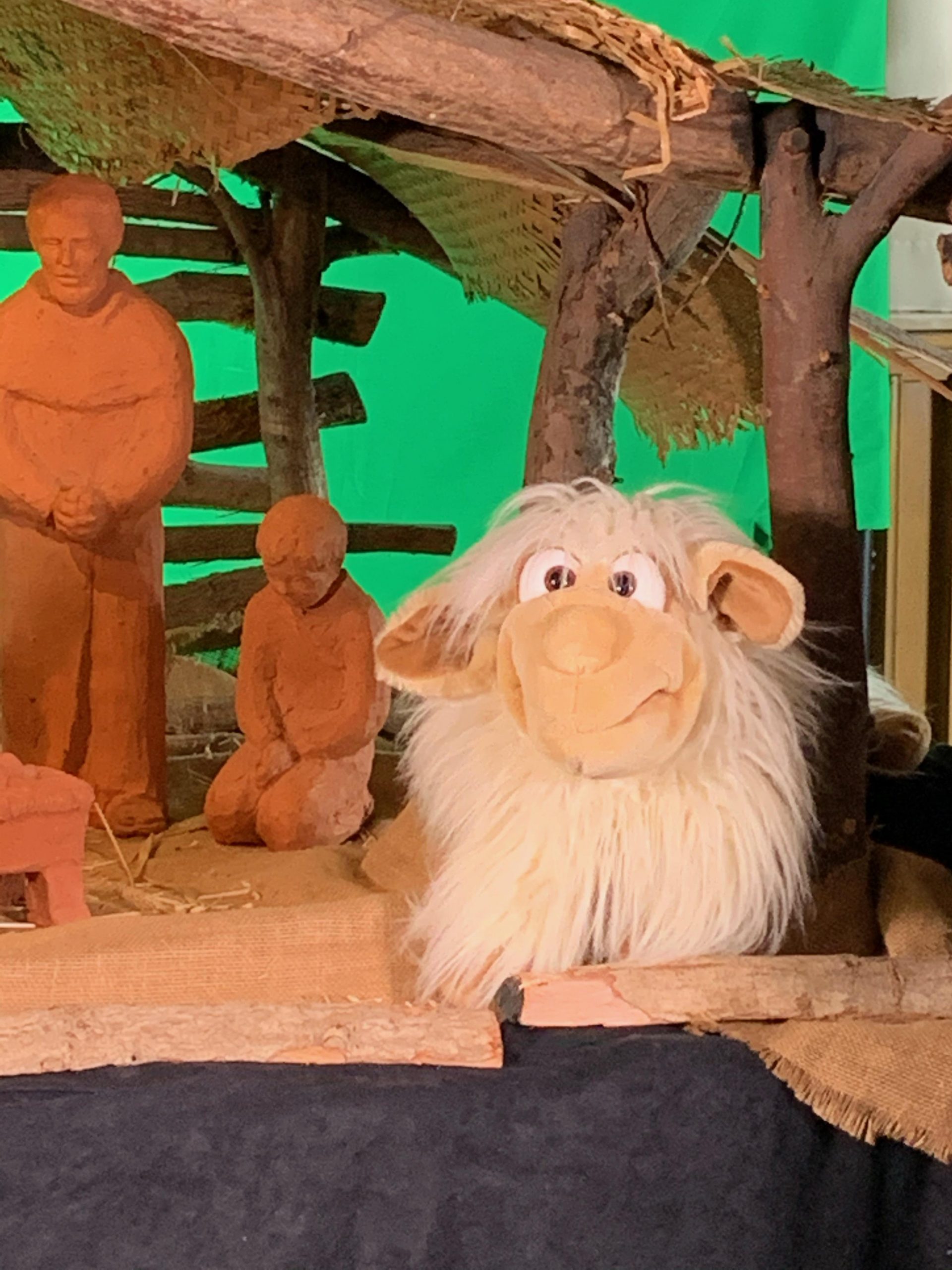 Die Video-Weihnachtsgeschichte mit Huhn und Schaf  – für Groß und Klein