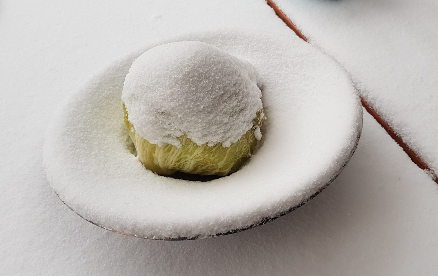 Bilder-Rätsel der Woche