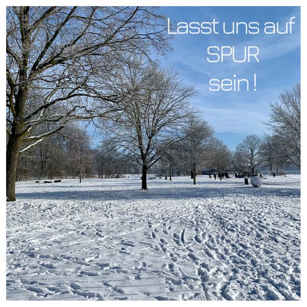 „SPUREN-Sammelstelle“    Auf der Suche nach tollen Spuren !