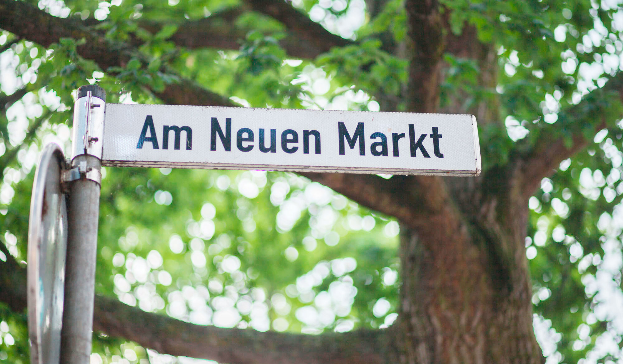 2. Juli | Sommerfest auf dem neuen Markt