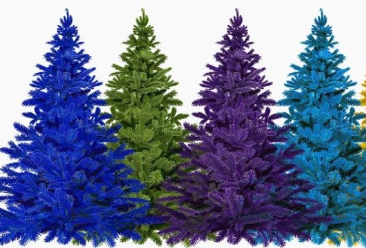 4. Advent | Musikalischer Abendgottesdienst