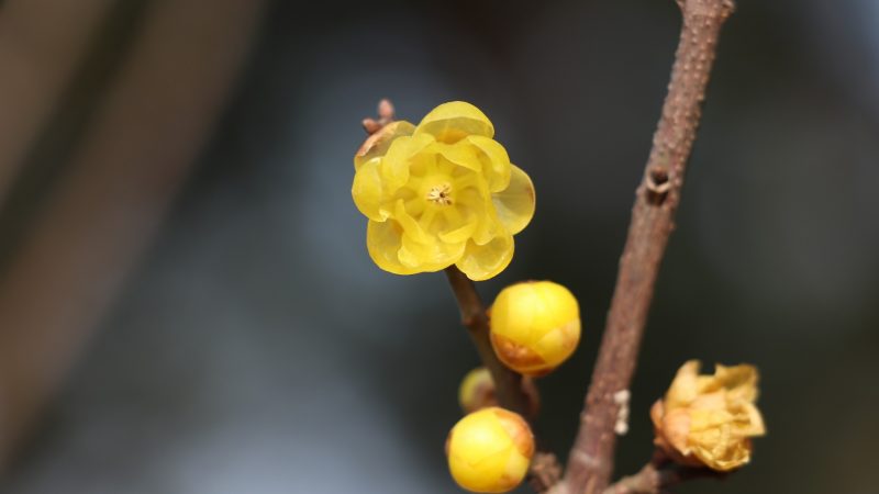 Frühlingsfest | Spielplatz