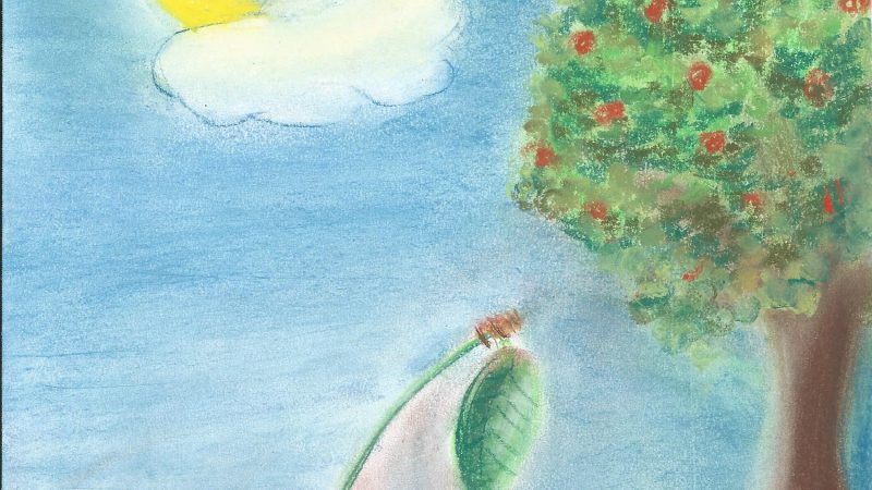 Die Kirschin Elfriede | 10.9.