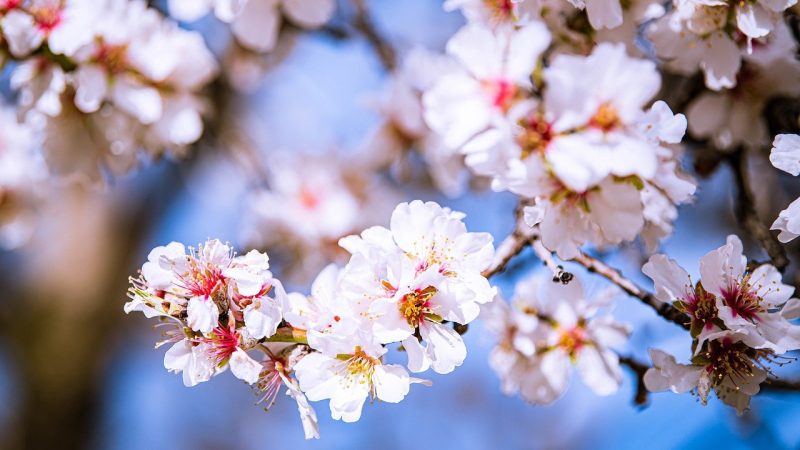 Schnack um drei | Zion 22.04.