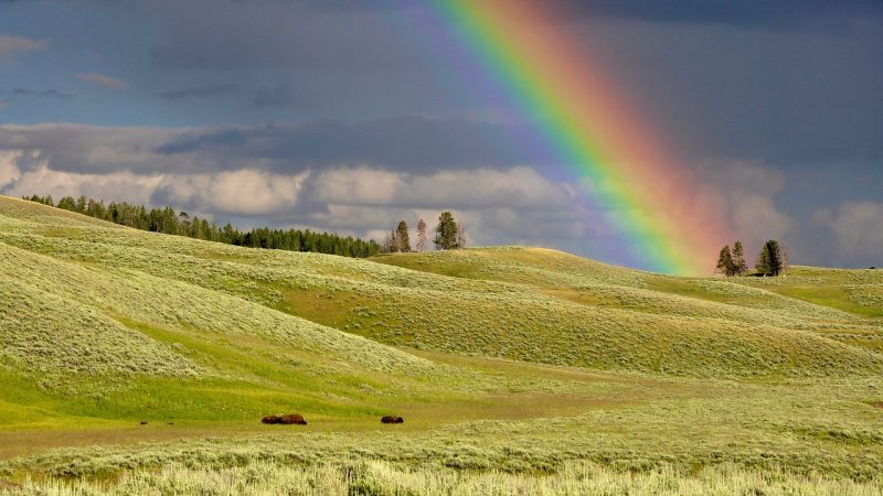 Unwiderstehlich | Gottesdienst | 13.10. | 11 h | Zion