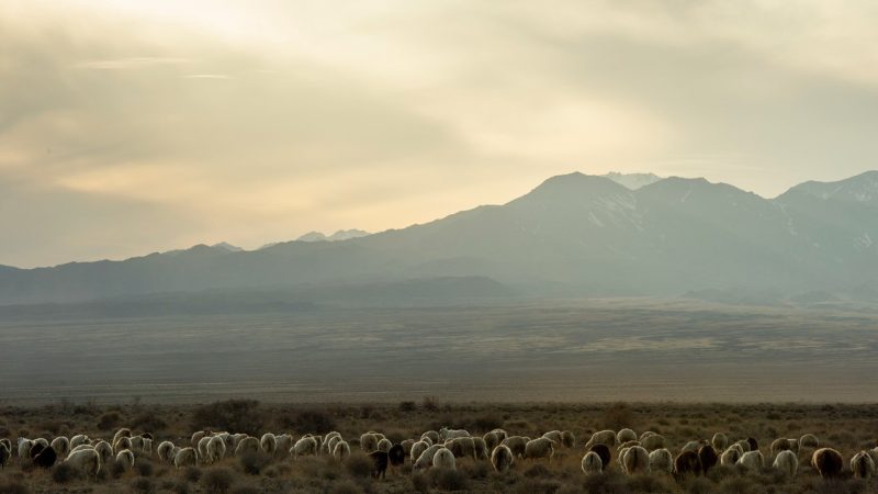 Konzert Bremer Kammerorchester | 16.03. | 17 h