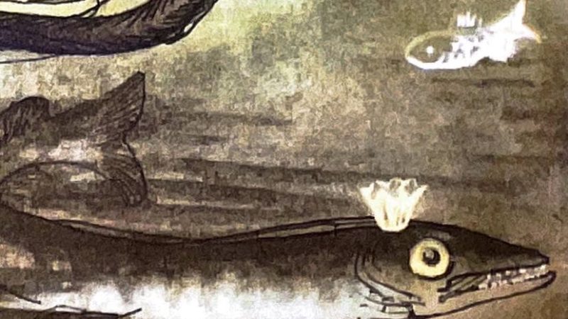 Im Aquarium – oder: Im Schatten der Hechtkönigin | 02.11. in Zion