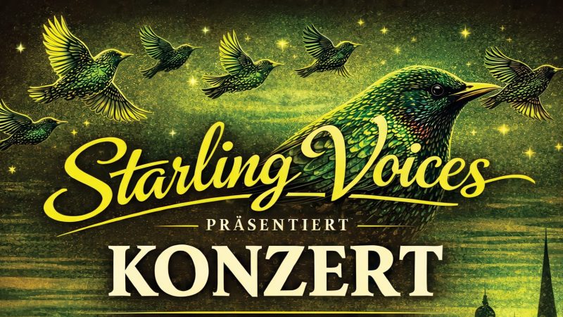 Konzert | 14.03.2026 | Saal in St. Pauli