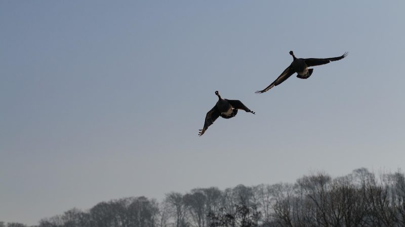 Wir haben hier keine bleibende Stadt | Gottesdienst | 22.3. | 11 Uhr | St. Pauli