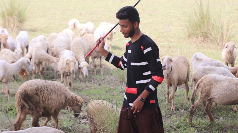 Von Wölfen, Schafen und Hirten | Gottesdienst | 11 Uhr | So. | 19.4.26 | Zion