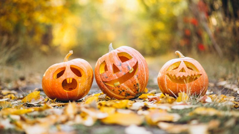 Herbstferien-Programm auf dem Spielplatz